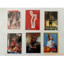 Lot 6 cartes NBA spéciales Insert "Dennis Rodman"