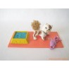 Mes Tout Petits Amis : chat de concours