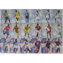 Lot 53 cartes Panini Football Premium Cards 1995