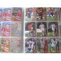 Album Panini Foot 2009 Trading Cards