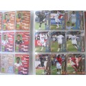 Album Panini Foot 2009 Trading Cards