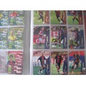 Album Panini Foot 2009 Trading Cards