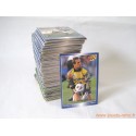 Lot 254 cartes panini football 1995