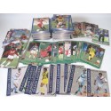 Lot 254 cartes panini football 1995