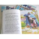 Lot 3 livres "Remi"