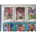 Album Panini Football Cards 1996