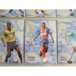 Album Panini Football Premium Cards 1995