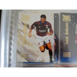 Album Panini Football Premium Cards 1995