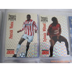 Album Panini Football Premium Cards 1995