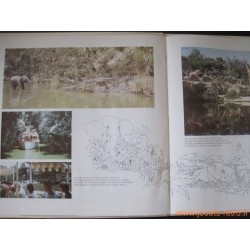 Walt Disney's The Enchanted Tiki Room - disque 33 T