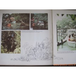 Walt Disney's The Enchanted Tiki Room - disque 33 T