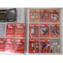 Album cartes Panini "PSG le best of" 1996