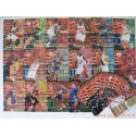 Set 220 cartes NBA Fleer 95-96 série 2