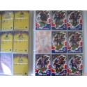 Album cartes Panini Foot Cards 98