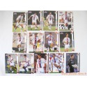 Lot 250 cartes DS France Foot 1998-99