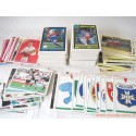 lot 260 cartes Panini Foot 1993