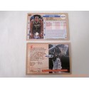 Set complet 180 cartes NBA Fleer 1992-93 série 2