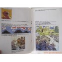 Livre disque "Yakari - les castors et le pélican" Casterman 1983